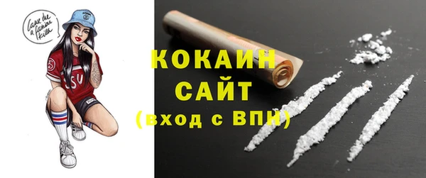 прущий лед Алзамай
