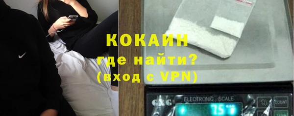 прущий лед Алзамай