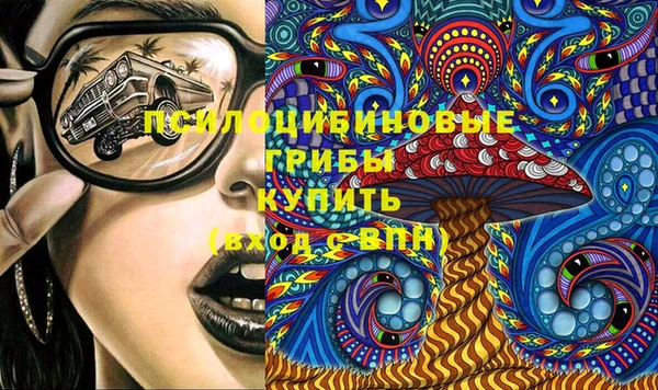 прущий лед Алзамай
