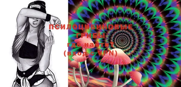 ECSTASY Алексеевка